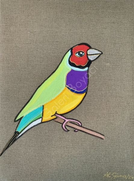 Gouldian Finch