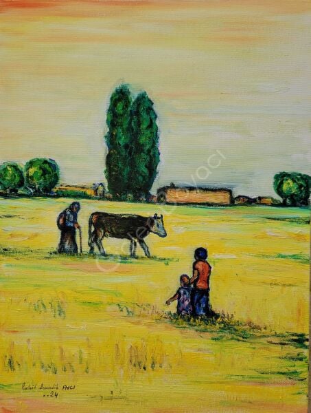 Karşılama(Köyde)