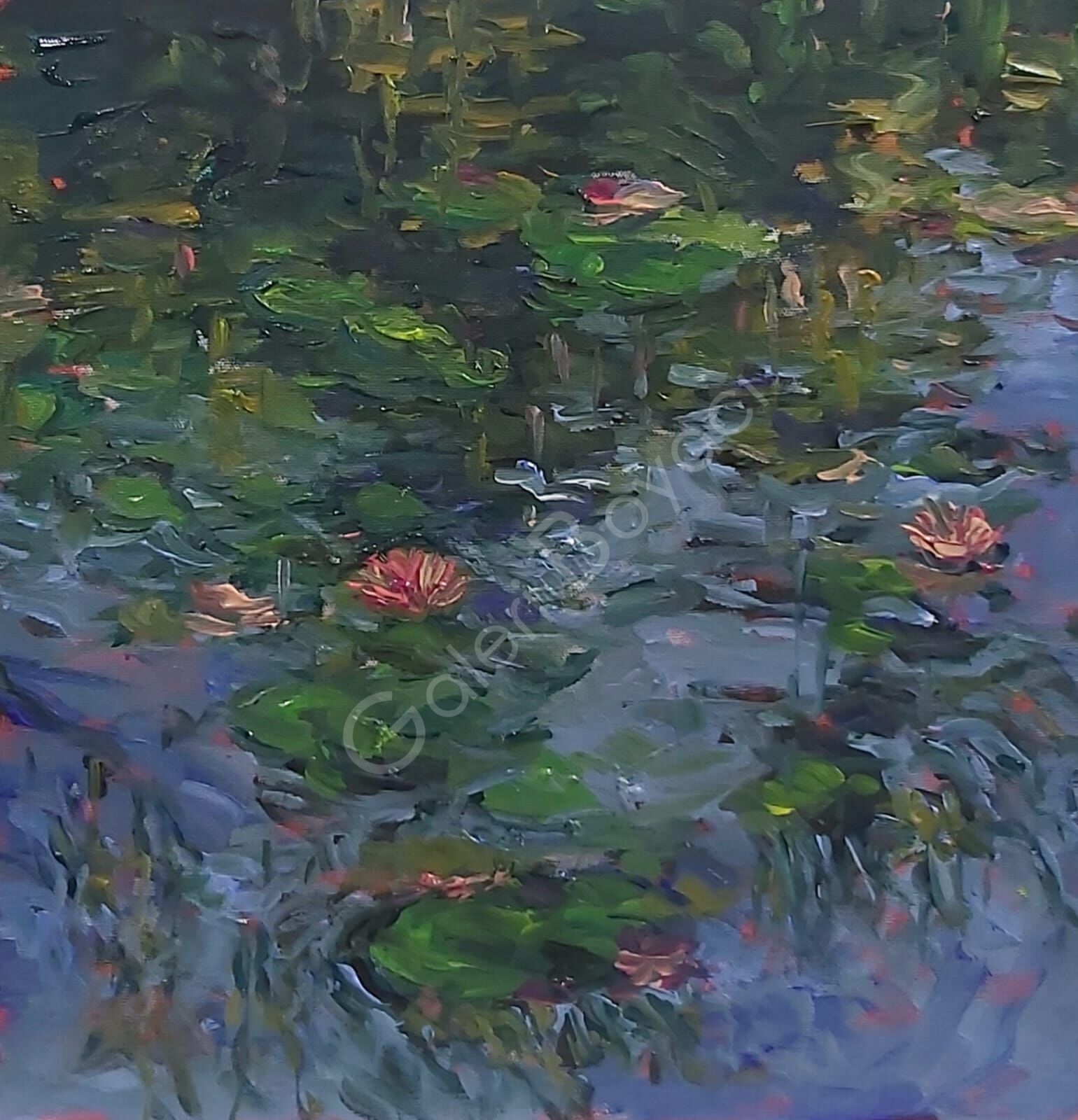 Lotus