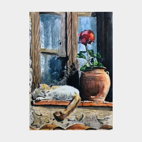 Camdaki Kedi