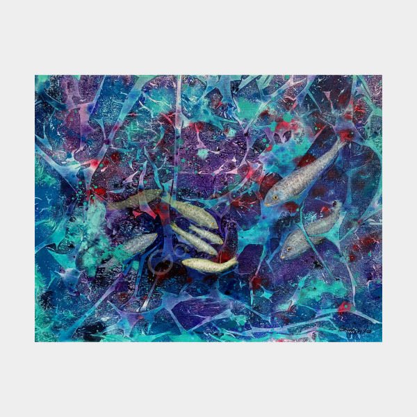 Sea Life